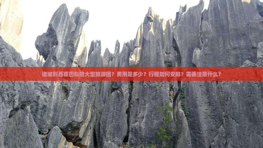 诸城到西藏巴松措大型旅游团