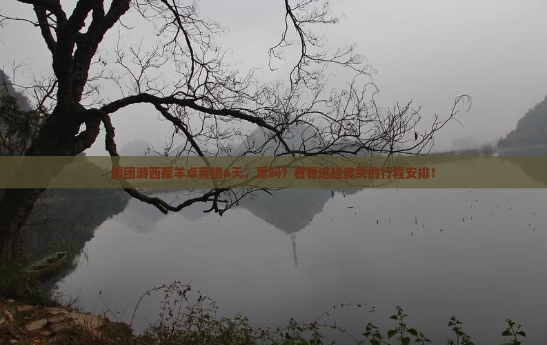 来宾到西藏羊卓雍措六日游