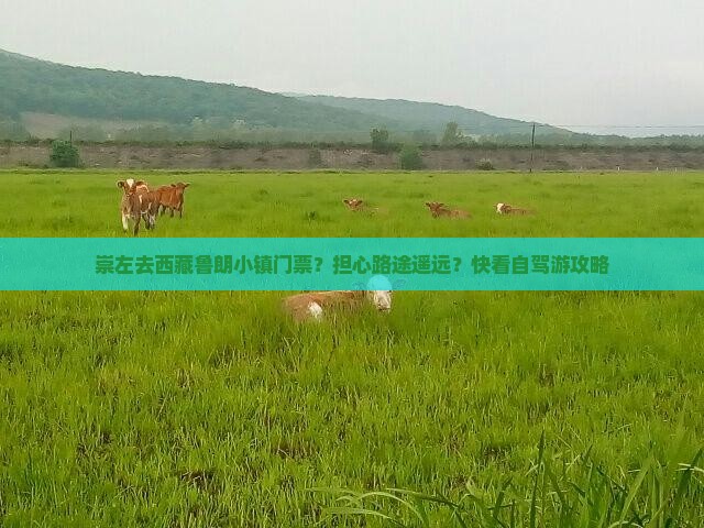 崇左去西藏鲁朗小镇门票 崇左去西藏鲁朗小镇门票