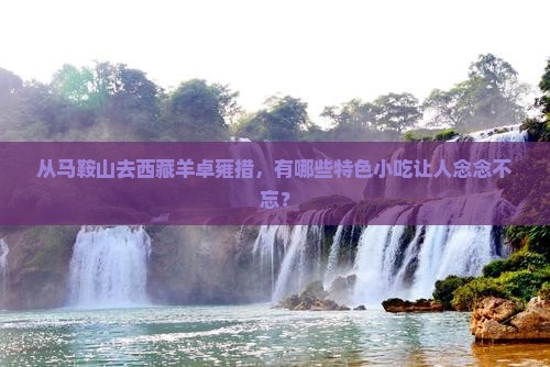 马鞍山到西藏羊卓雍措旅游小吃