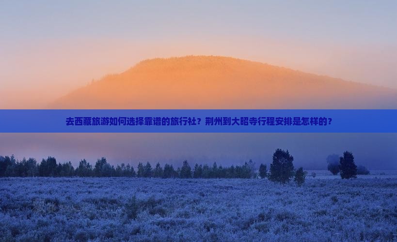 荆州去西藏大昭寺旅行社