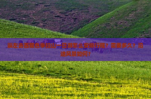 崇左去西藏色季拉山一日