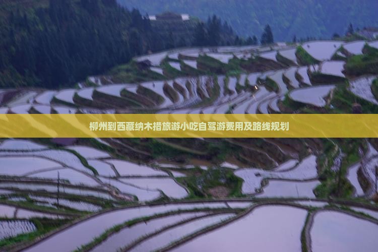 柳州到西藏纳木措旅游小吃