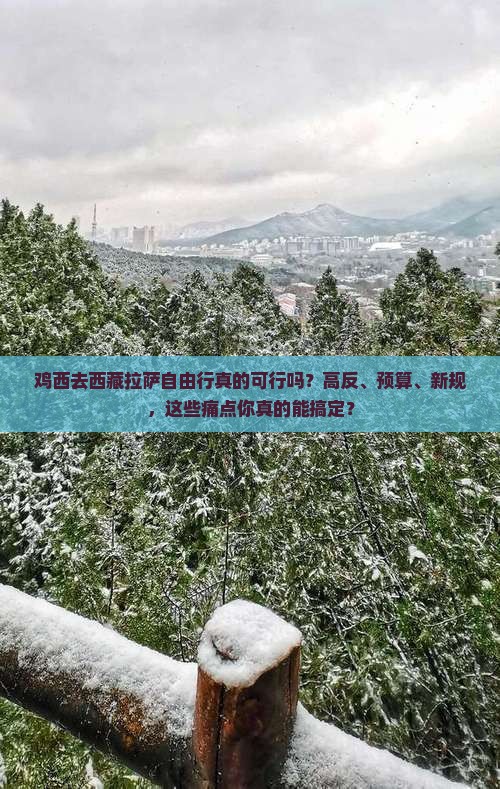 鸡西去西藏拉萨自由行