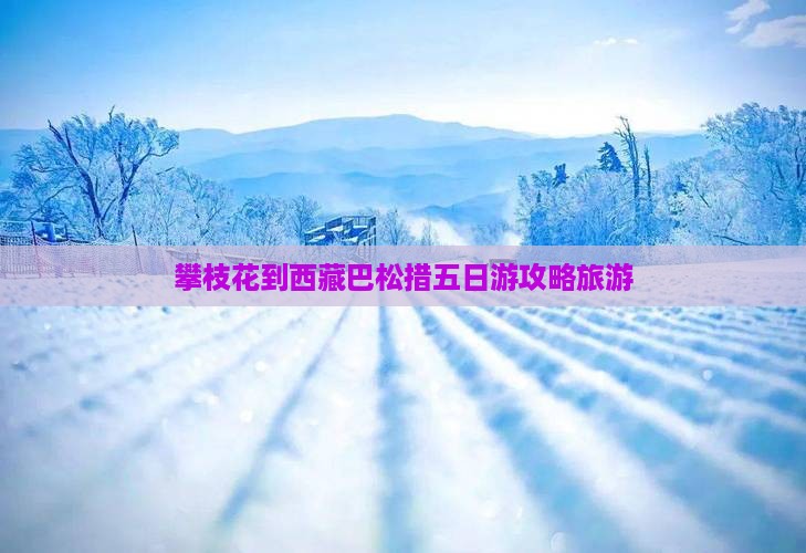 攀枝花去西藏巴松措五日游