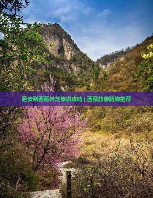 延安去西藏林芝旅游
