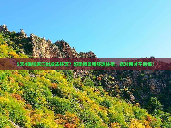 张家口到西藏林芝团体旅游