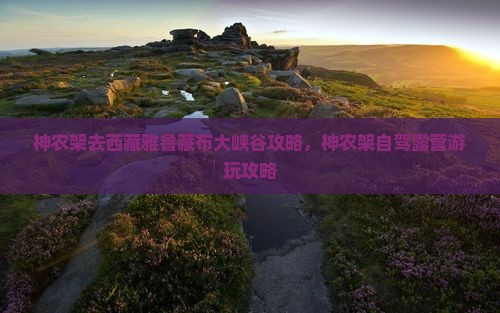 神农架去西藏雅鲁藏布大峡谷攻略