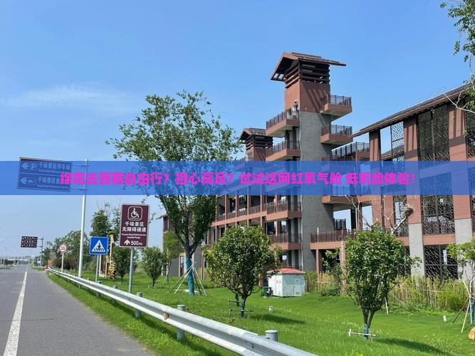 绵阳去西藏自由行
