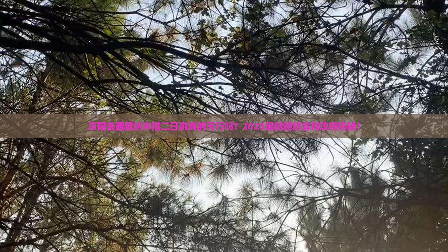 庆阳去西藏纳木措二日游