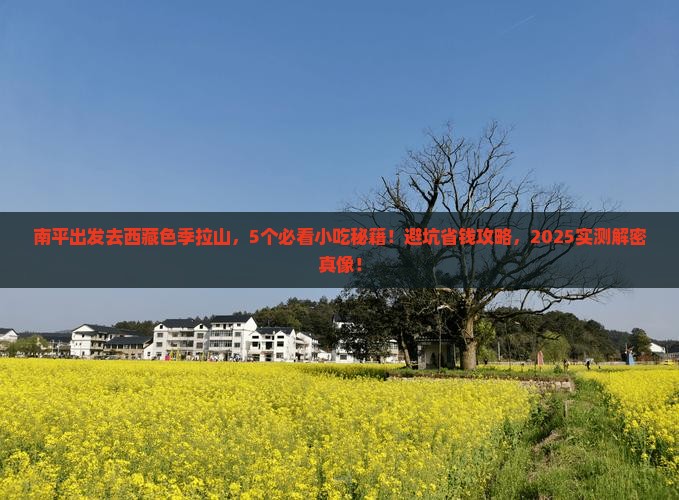 南平去西藏色季拉山旅游小吃