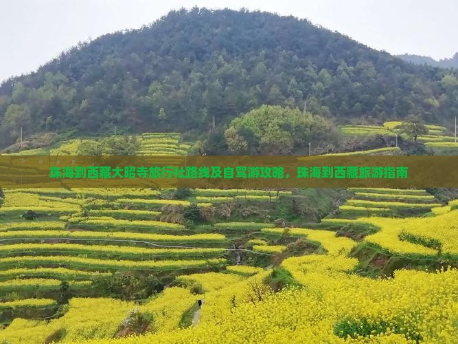 珠海到西藏大昭寺旅行社