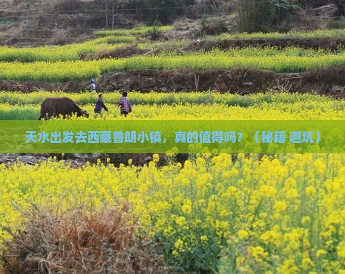 天水到西藏鲁朗小镇景点