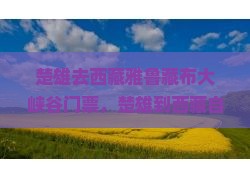 楚雄去西藏雅鲁藏布大峡谷门票