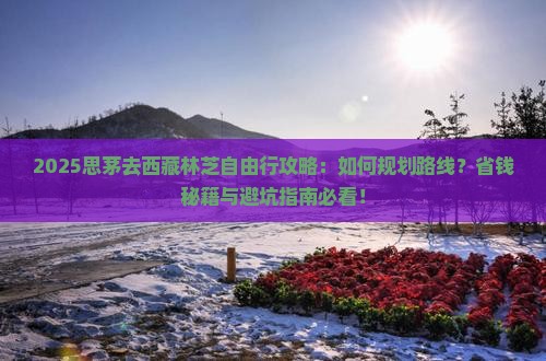 思茅去西藏林芝自由行