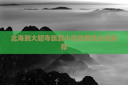 北海到西藏大昭寺旅游小吃