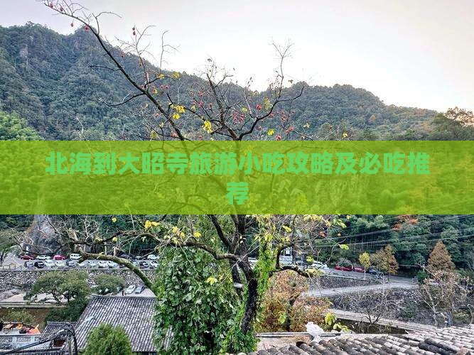 北海到西藏大昭寺旅游小吃