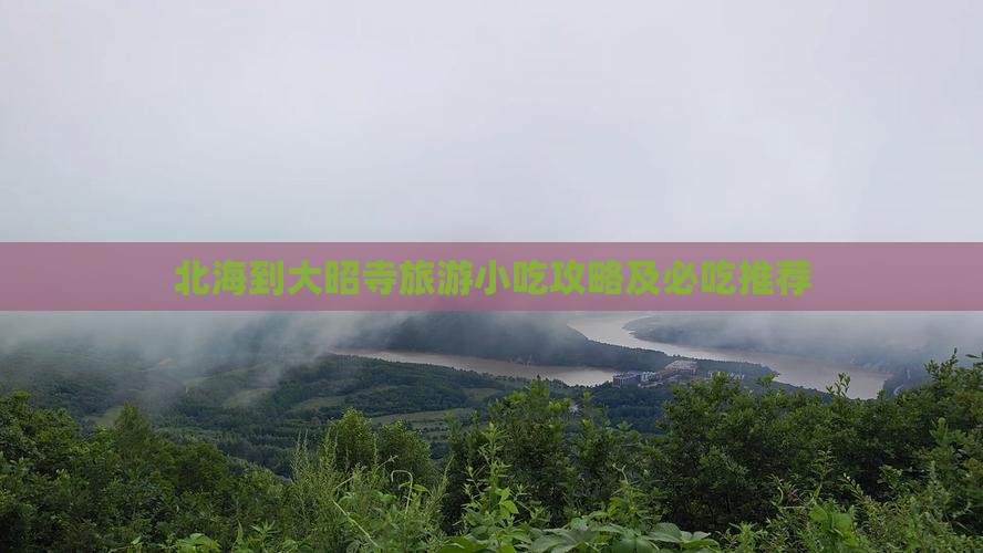 北海到西藏大昭寺旅游小吃