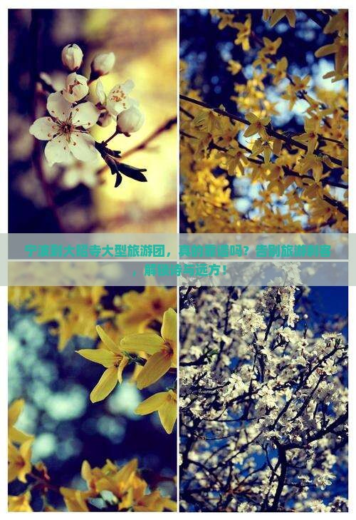 宁波到西藏大昭寺大型旅游团