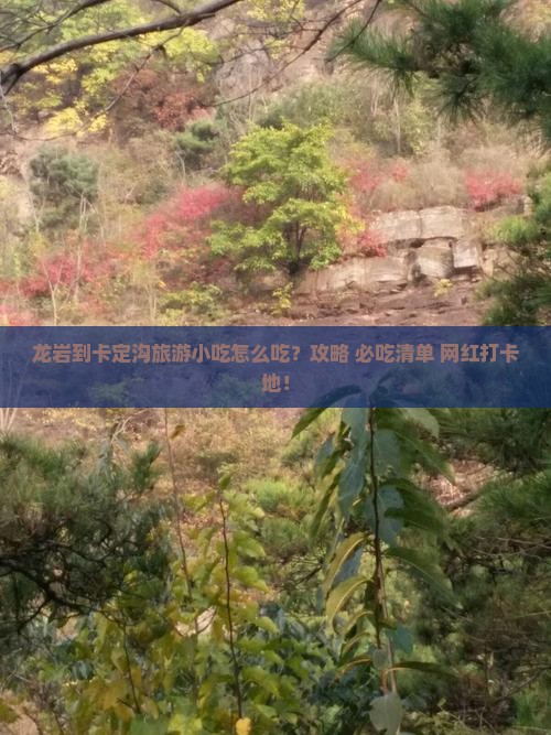 龙岩到西藏卡定沟旅游小吃