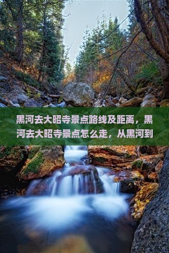 黑河去西藏大昭寺景点