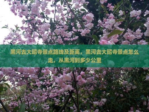 黑河去西藏大昭寺景点