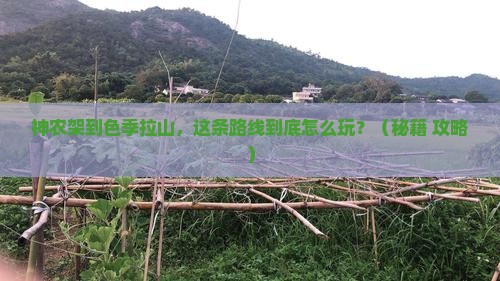 神农架去西藏色季拉山哪里玩