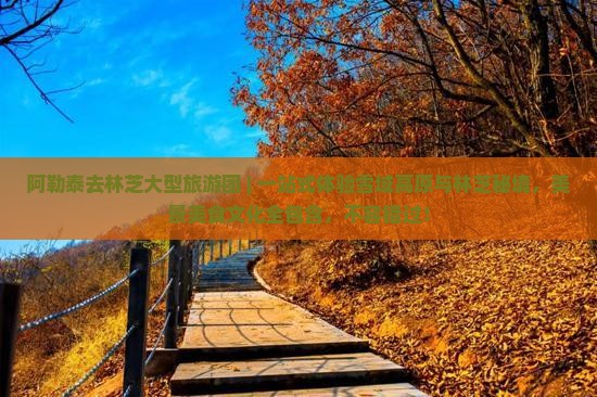 阿勒泰去西藏林芝大型旅游团