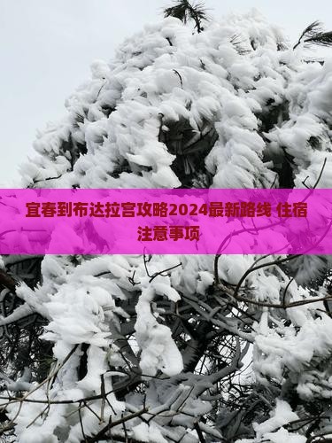 宜春到西藏布达拉宫攻略
