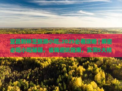 宜昌到西藏林芝旅游小吃