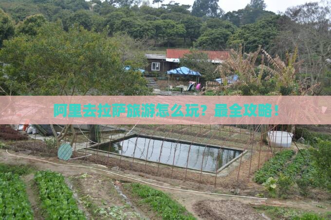阿里去西藏拉萨旅游