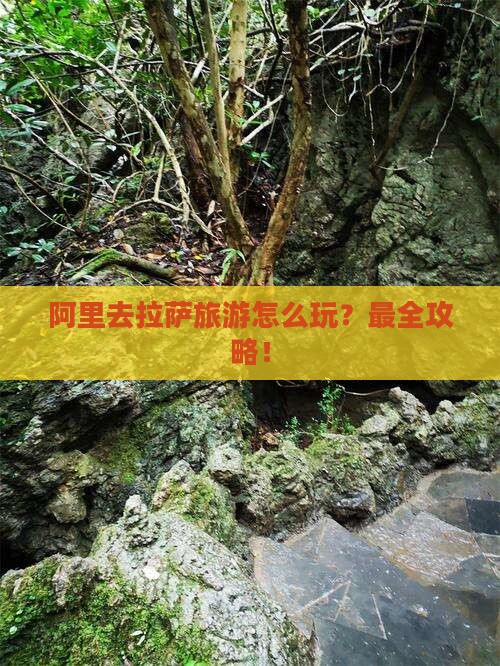 阿里去西藏拉萨旅游