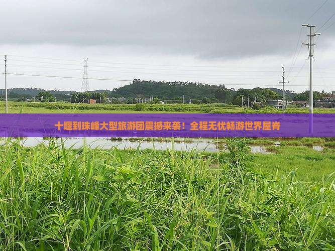 十堰到西藏珠峰大本营大型旅游团