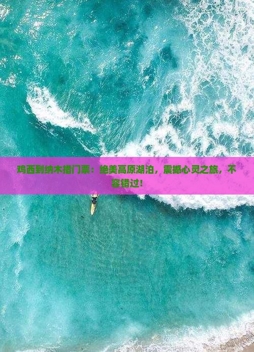 鸡西到西藏纳木措门票