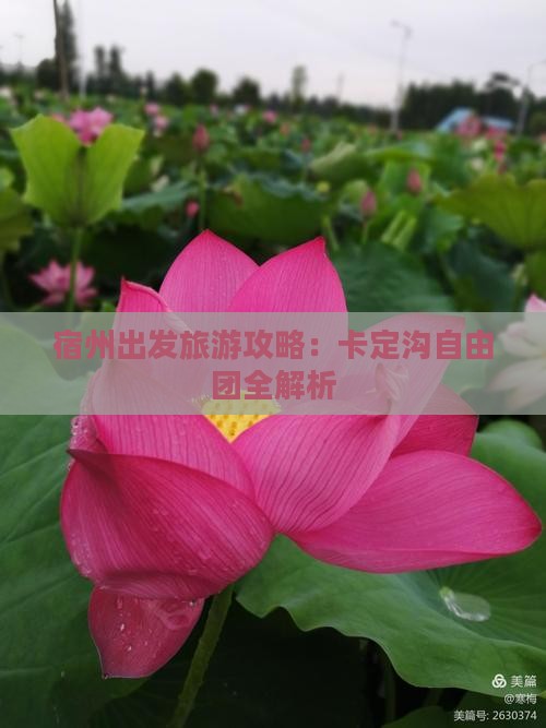 宿州去西藏卡定沟自由团