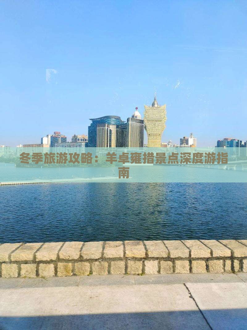 冬季旅游攻略：羊卓雍措景点深度游指南