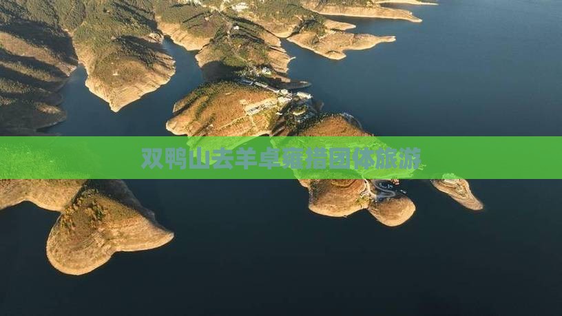 双鸭山去羊卓雍措团体旅游