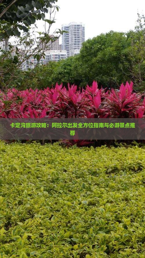 卡定沟旅游攻略：阿拉尔出发全方位指南与必游景点推荐