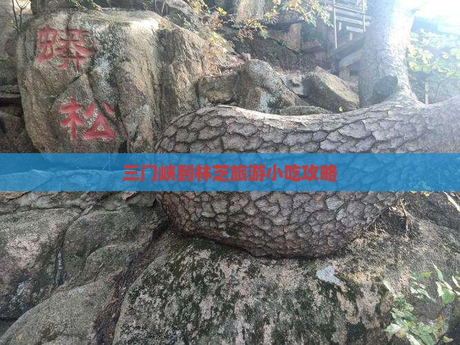 三门峡到林芝旅游小吃攻略