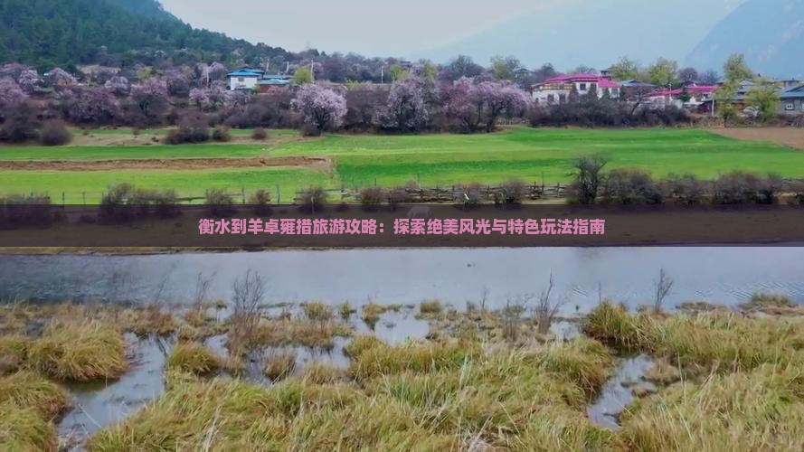 衡水到羊卓雍措旅游攻略：探索绝美风光与特色玩法指南