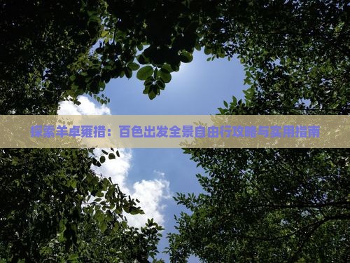 探索羊卓雍措：百色出发全景自由行攻略与实用指南