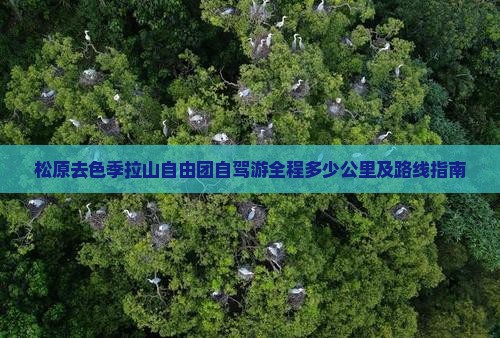松原去色季拉山自由团自驾游全程多少公里及路线指南