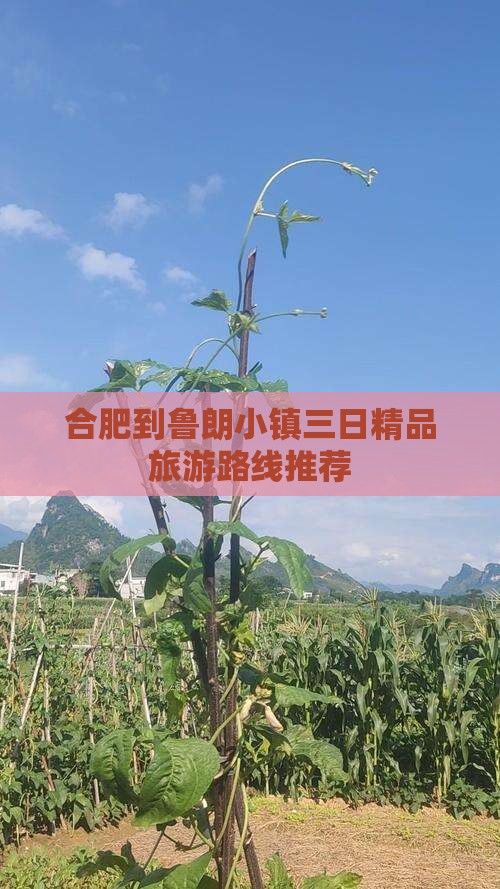 合肥到鲁朗小镇三日精品旅游路线推荐