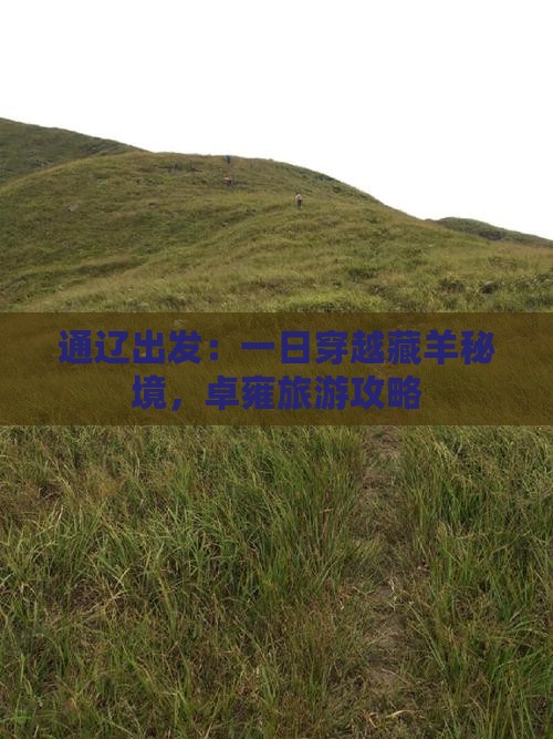 通辽出发：一日穿越藏羊秘境，卓雍旅游攻略