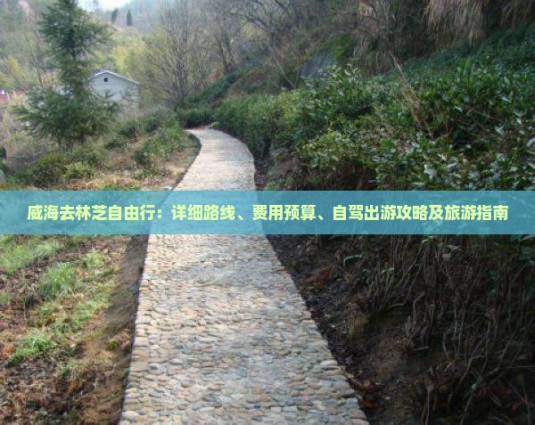 威海去林芝自由行：详细路线、费用预算、自驾出游攻略及旅游指南