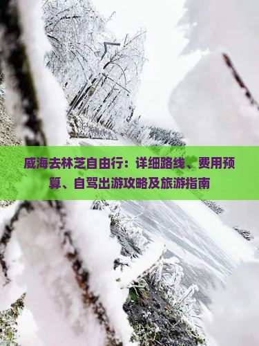 威海去林芝自由行：详细路线、费用预算、自驾出游攻略及旅游指南