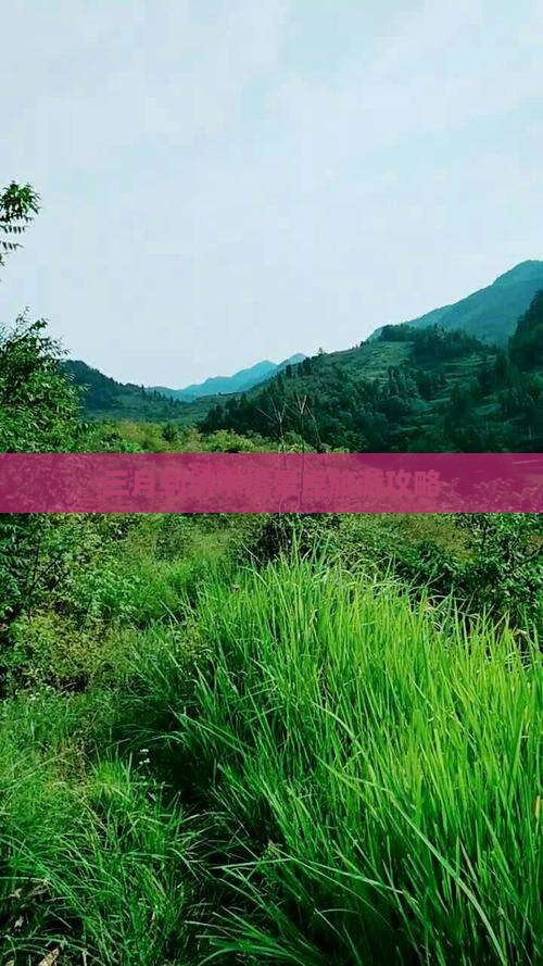 三月到纳木措景点旅游攻略