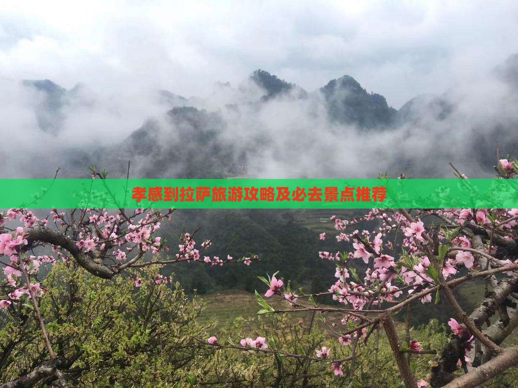 孝感到拉萨旅游攻略及必去景点推荐
