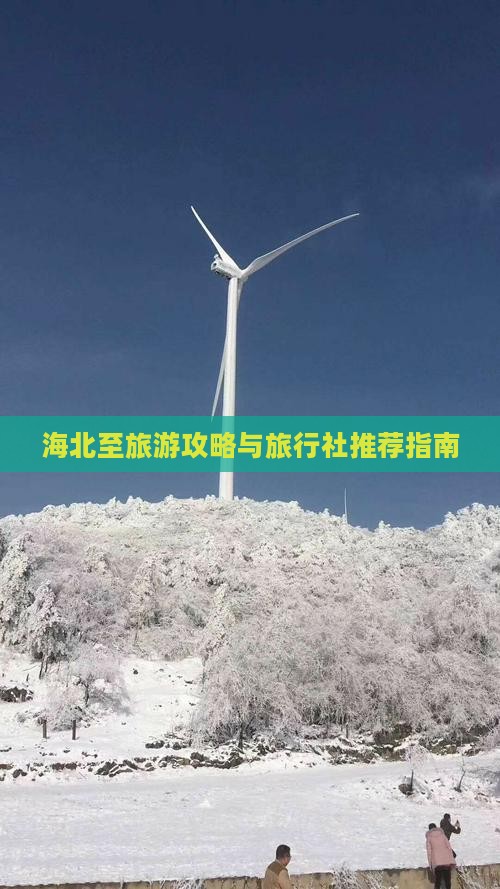 海北至旅游攻略与旅行社推荐指南