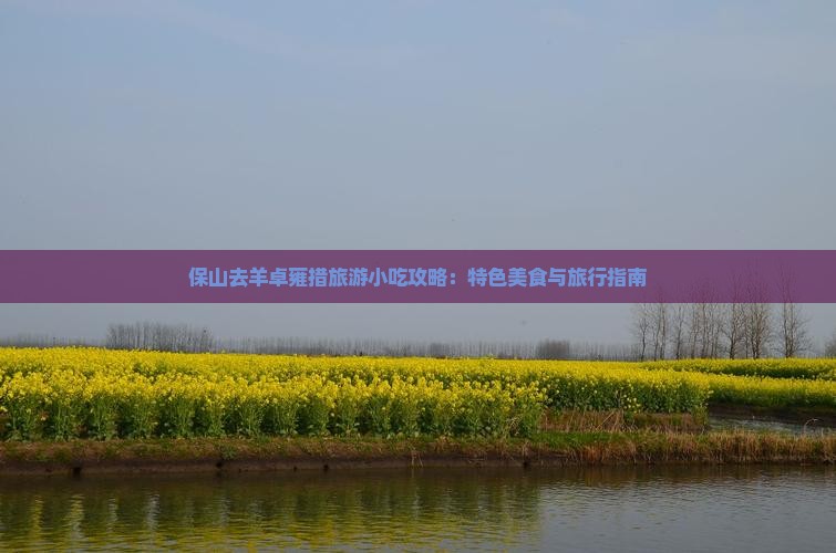 保山去羊卓雍措旅游小吃攻略：特色美食与旅行指南